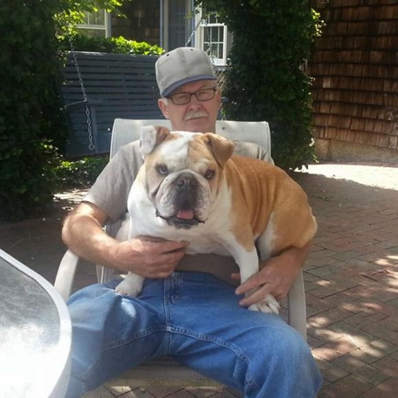 Meet your Posher, Jamie - Picture 1 of 1